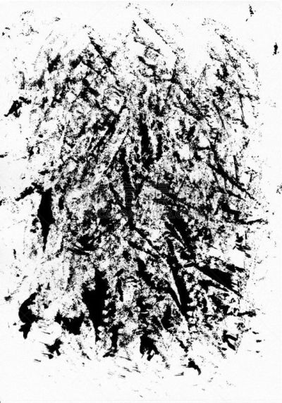 纹理,垂直画幅,美术效果,捷克,水墨画,2015年,笔形海胆,刷状缘,摄影