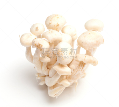 姬菇,饮食,水平画幅,食品杂货,素食,无人,蘑菇,白色背景,组物体,背景分离