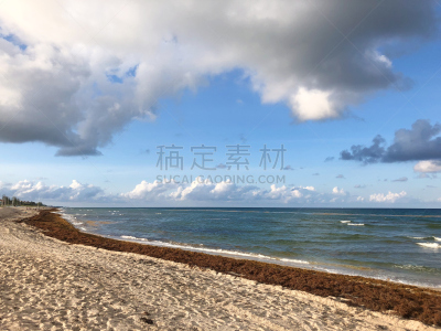 海草,海滩,乌云,褐色,暴风雨,六月,水平画幅,云,五月,夏天