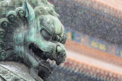青铜,特写,雪,狮子,高雅,北京,世界遗产,狮王,复古风格,动物