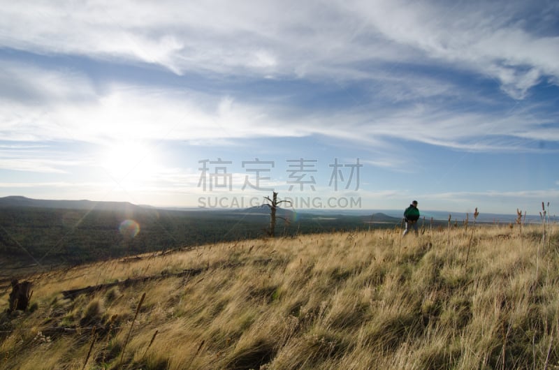 亚利桑那,山,徒步旅行,北,圣伯纳犬,北亚利桑那大学,森林开伐,山地自行车运动,耐性,鼓掌