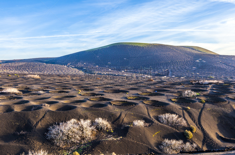 兰萨罗特岛,火山,垃圾填埋场,居住区,灰树,timanfaya national park,水平画幅,山,无人,火山地形