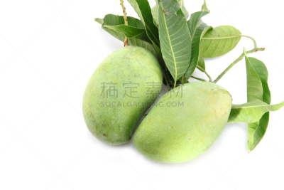 芒果,叶子,绿色,水平画幅,夏天,白人,甜点心,豆腐,白色,果园