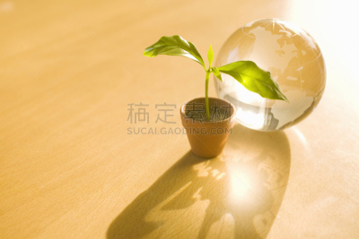 地球形,秧苗,锅,双叶区,水平画幅,无人,泥土,阴影,全球通讯,全球商务