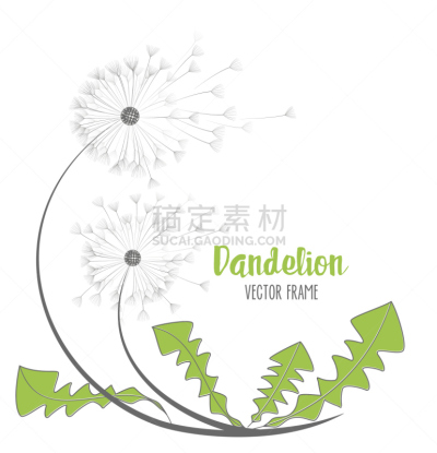 蒲公英,矢量,仅一朵花,自然,垂直画幅,草地,秋天,绘画插图,夏天,生物学