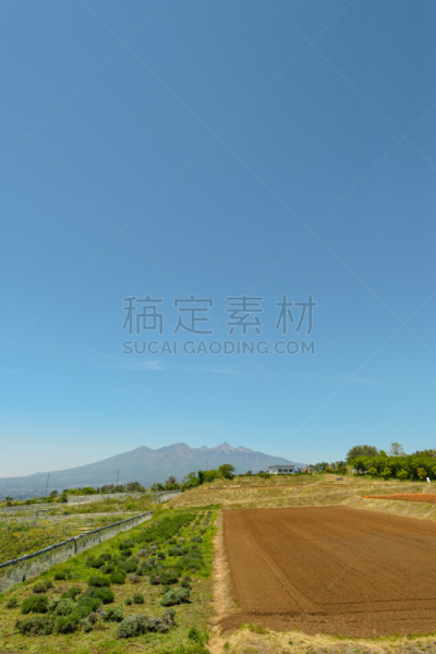 风景,非都市风光,巴岳山,休眠火山,山梨县,耕地,自然,垂直画幅,无人,日本