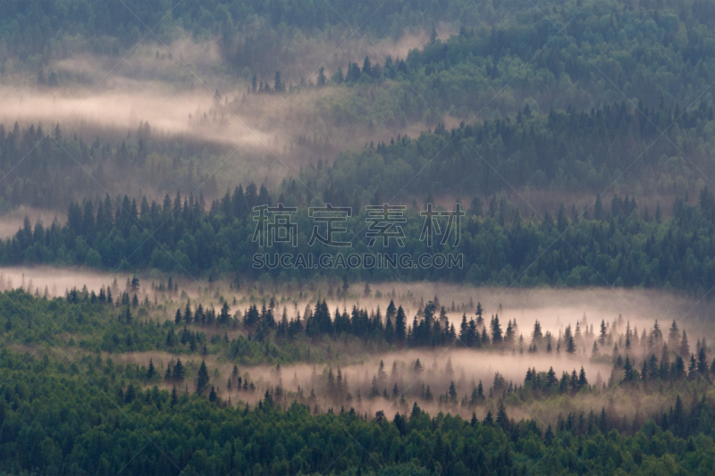 风景,森林,雾,黄昏,天空,太空,水平画幅,云,地形,无人