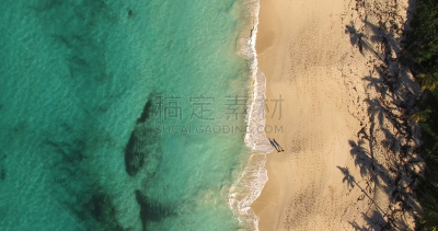 巴哈马国,伴侣,阴影,风景,天体海滩,顶部,费尔南多迪诺罗尼亚,库克群岛,拿骚,加勒比海地区