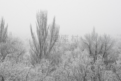 冬天,地形,霜,弹出式商店,美,贺卡,风,暴风雨,食肉鸟