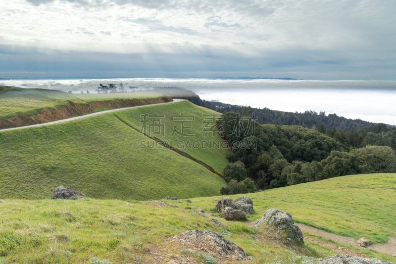 塔玛皮斯山,地形,冬天,米尔谷,塔马尔帕斯山州立公园,花旗松,马林县,太平洋海岸山脉,橡树林地,北加利福尼亚州