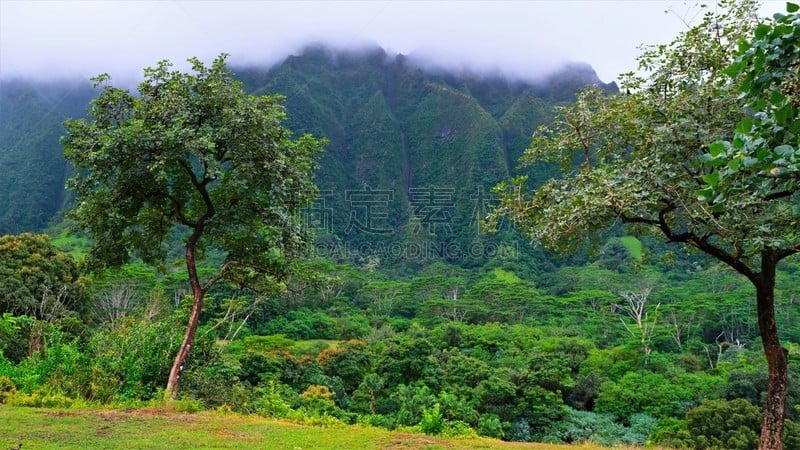 View of the entrance and Ko'olau Mountains as one drives through the Ho'omaluhia Botanical Park. Strolling or driving through these lush 400 acres in windward Oʻahu, you will truly agree that Hoʻomaluhia is rightfully named 'a peaceful refuge.'  Opened in