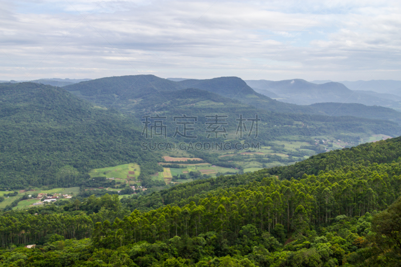 高卓牛仔,地形,山,莫罗古堡,南里奥格兰德州,自然,南美,松树,水平画幅,宁静