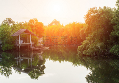 水,亭台楼阁,森林,时间,早晨,秋天,水平画幅,无人,古老的,夏天