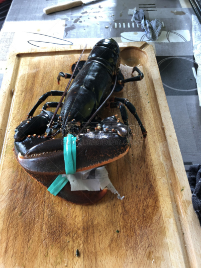 龙虾,案板,活力,垂直画幅,饮食,桌子,无人,木制,特写,赫蕉属