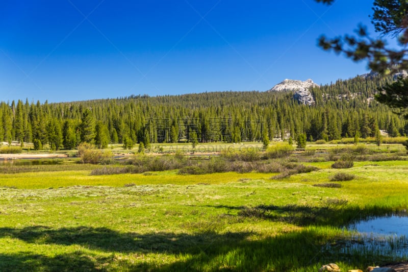 提欧嘎山口,120号公路,特纳娅湖,梅丽波莎县,加利福尼亚内华达山脉,天空,休闲活动,水平画幅,高视角,山