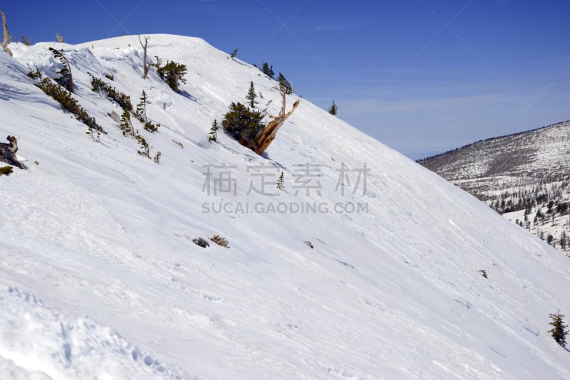 春山山脉,内华达州,雪,山,拉斯维加斯,徒步旅行,查尔斯顿,极端地形,斑点,攀登