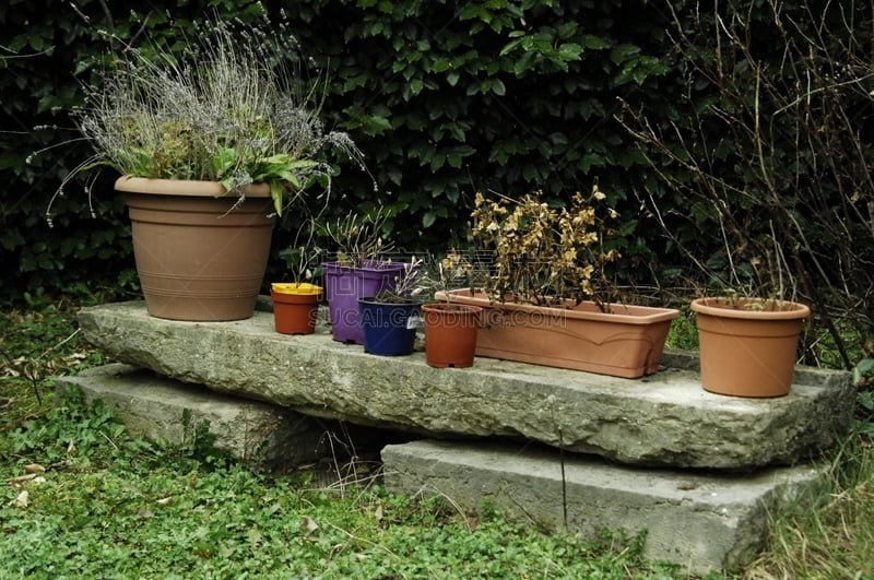 La végétation  verdoie encore même si l' automne est parti au froid sur  l' herbe verte.
Le jardin vit, et se repose avant l' hiver. Il  expose comme sur scéne d' acteurs ses pots de fleurs, arrosoir, .... et végétation.