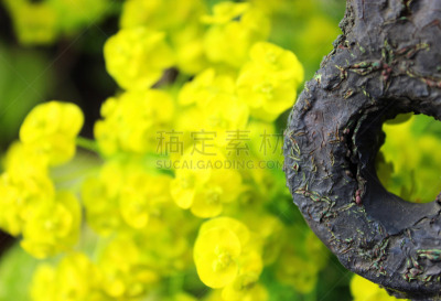 铁艺,木栅栏,铸铁,圆形,水平画幅,无人,铁,金属,特写,高对比度