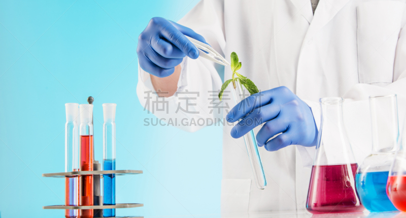 实验室,植物学,生物课,有毒废物,转基因,生物化学,科学实验,生物学,遗传研究,医学检测