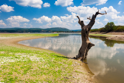 湖,树干,纳木错,自然,水,天空,水平画幅,地形,无人,协调
