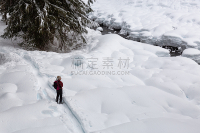 加拿大,穿雪鞋走路运动,大不列颠哥伦比亚,旅途,运动,雪,儿童,小路,公元前,休闲活动