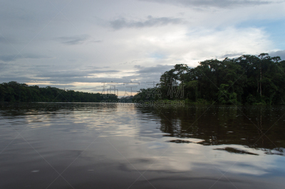 tortuguero national park,里蒙省,自然,水,中美洲,宁静,国家公园,水平画幅,绿色,枝繁叶茂