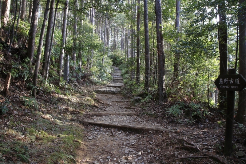 熊野古道,日本,和歌山县,海上航道,世界遗产,环境保护,小路,户外,天空,木制