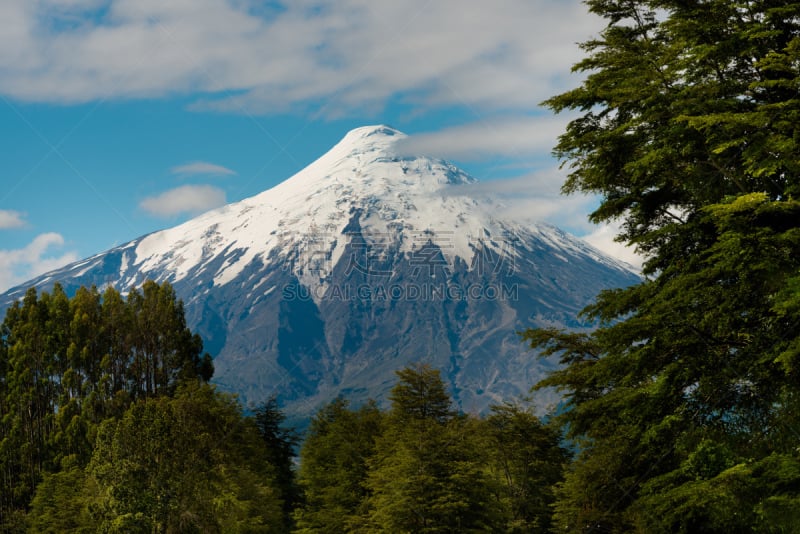 欧索诺火山,恩塞纳达,智利湖区,南美,水平画幅,雪,无人,户外,树林,拉丁美洲