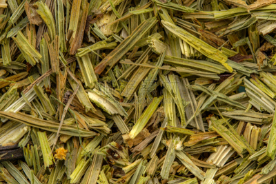 马尾,植物,特写,自然,草本,替代医药,自然界的状态,香料,食品,图像