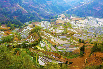 元阳,梯田,云南省,中国,露台别墅,哈尼族,锥形帽,雕塑家,建筑露台,昆明