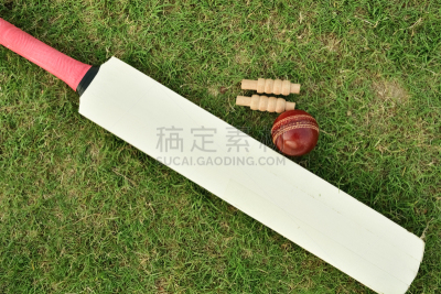 概念,板球运动员,三柱门横木,板球棒,运动场,接缝,球,水平画幅,绿色,木制