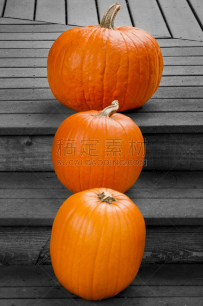 南瓜,三个物体,巨无霸的南瓜,糖南瓜馅饼,垂直画幅,成一排,秋天,无人,高对比度,植物茎