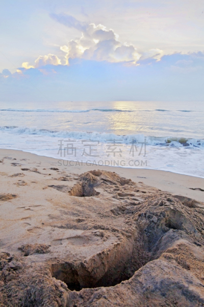 本地治里,海滩,黎明,螃蟹,蟹笼,孟加拉湾,垂直画幅,天空,洞,沙子