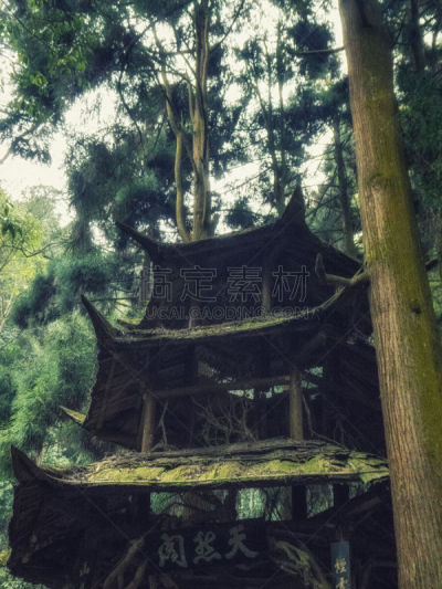 凉棚,都江堰 ,四川省,森林,传统,世界遗产,环境,天气,户外,建筑