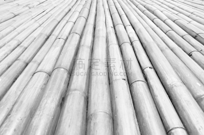 透视图,干的,单色调,竹子,茎,水平画幅,墙,无人,干花,古老的