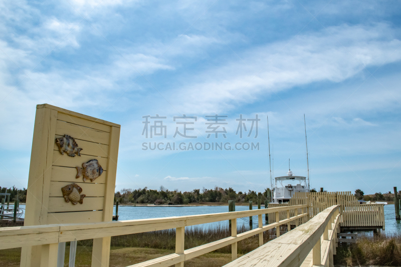 北卡罗来纳,岛,公园,小溪,野外动物,胡萝卜,天堂,硬草帽,马,帆