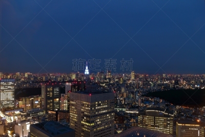 夜晚,东京,天空,城镇景观,东亚,观测点,明亮,都市风景,建筑业,魅力