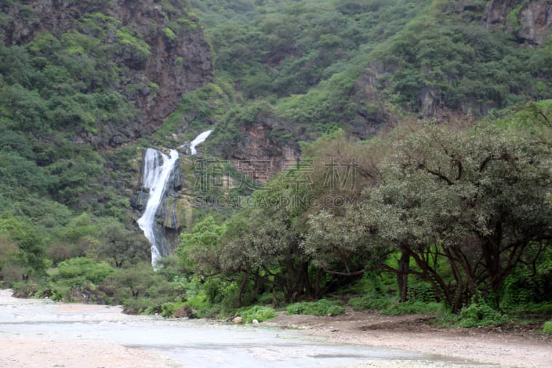 塞拉莱,阿曼,水,枝繁叶茂,瀑布,地形,度假胜地,小溪,绿山国家森林公园,美