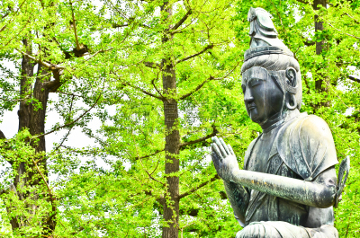 佛,浅草观音寺,浅草,日本之神道教,江户时代,水平画幅,形状,日本,旅行者