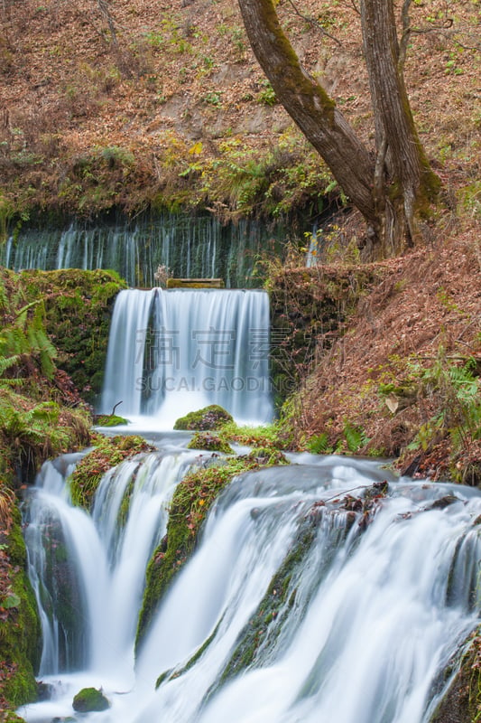 季节,秋天,shiraito falls,轻井泽町,长野县,垂直画幅,水,美,里山,瀑布