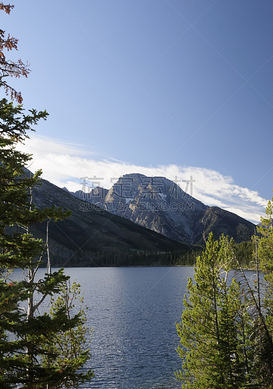 詹尼湖,提顿山脉,推铅球,自然美,自然,垂直画幅,水,天空,留白,松树