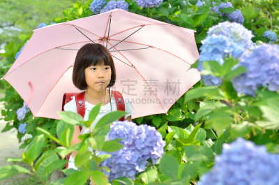 八仙花属,女孩,短袖,日式书包,雨季,六月,半身像,水平画幅,夏天,享乐