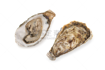牡蛎,水平画幅,无人,软体动物,开胃品,生食,膳食,海产,果汁,背景分离