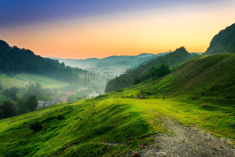 山,长春花属,格林威治村,自然,草地,非都市风光,水平画幅,无人,户外,草