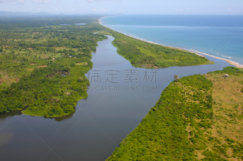 洪都拉斯,三角洲,河口,海岸线,加勒比海,海岸地形,儒艮,海牛,草原