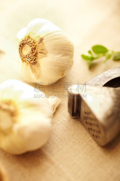 特写,大蒜,压蒜器,蒜瓣,垂直画幅,选择对焦,芳香的,无人,牛至,金属