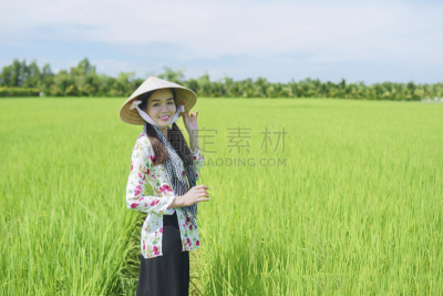 农民,越南人,自然美,女孩,农业,可爱的,全麦,奥黛,女人,传统服装
