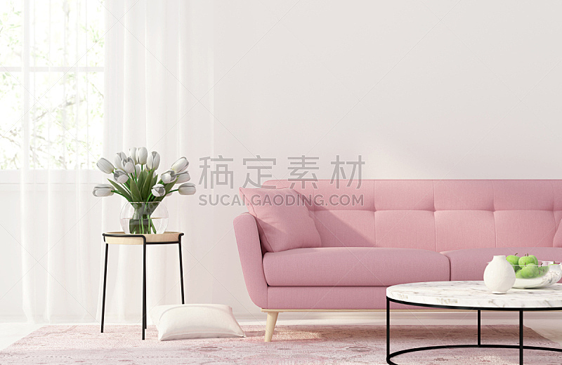 沙发,起居室,粉色,装饰物,软垫,枕头,高雅,花瓶,公寓