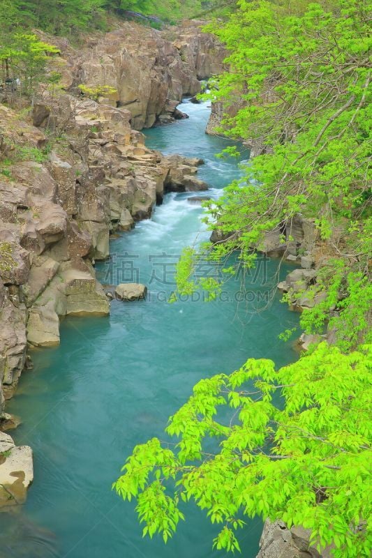 夏天,岩手县,山,小溪,旅途,著名自然景观,自然美,植物,河流,瀑布