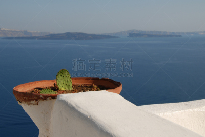 仙人掌,水,天空,美,水平画幅,荆棘,泥土,夏天,户外,干的